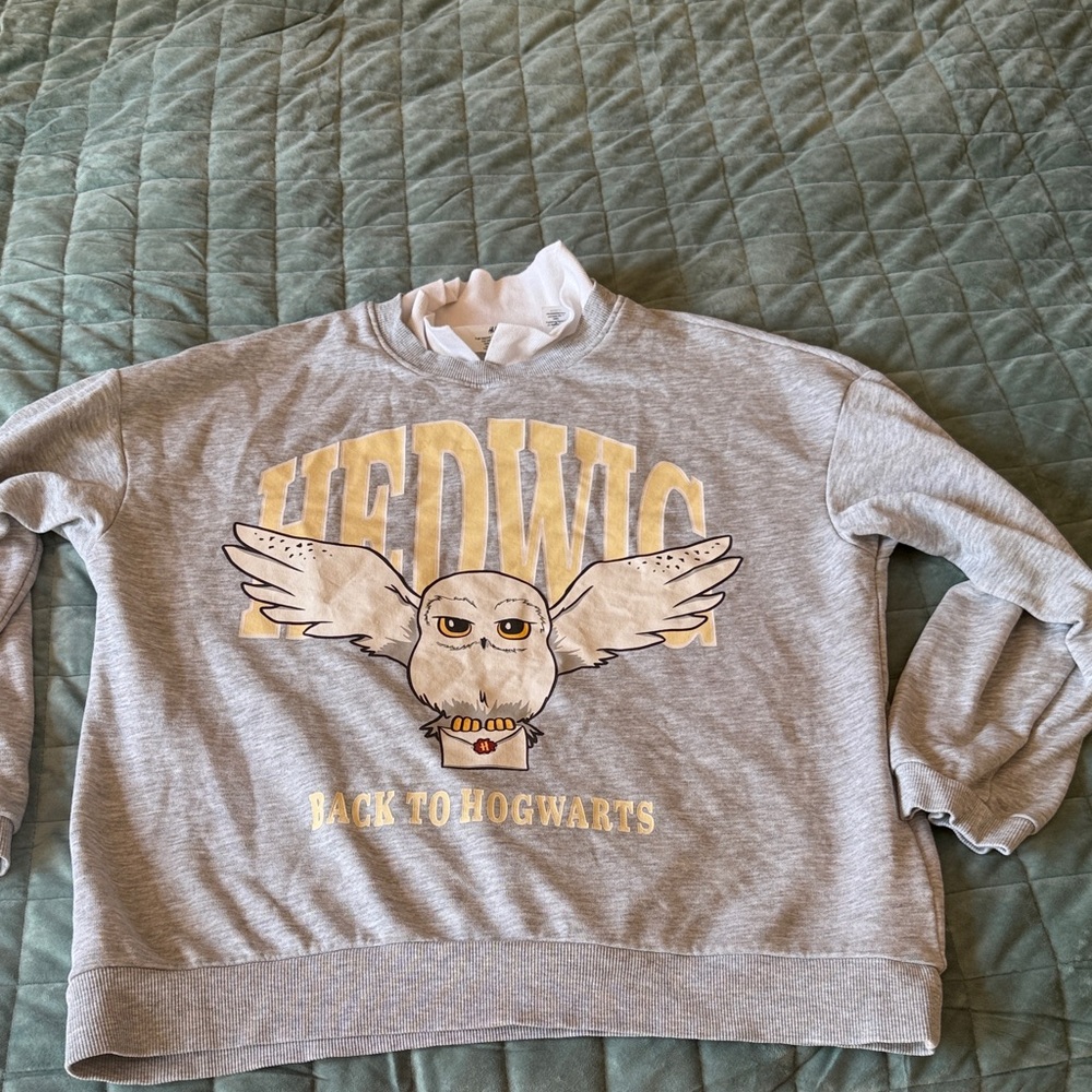 H&M Gray and Yellow Hedwig Sweatshirt